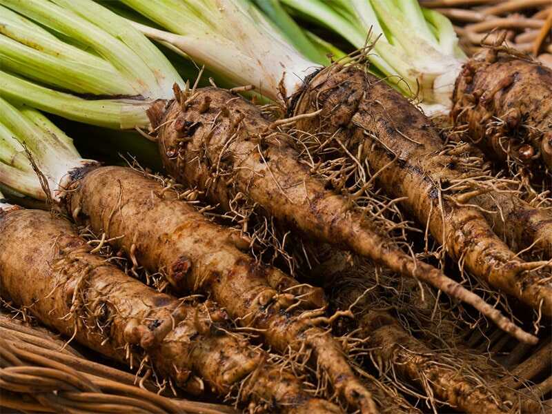 Salsify là gì? 5 lợi ích tuyệt vời của salsify