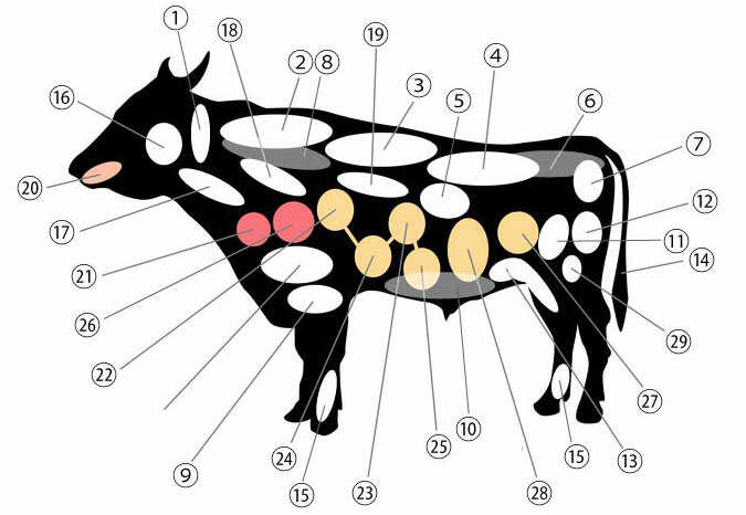 wagyu-beefcuts